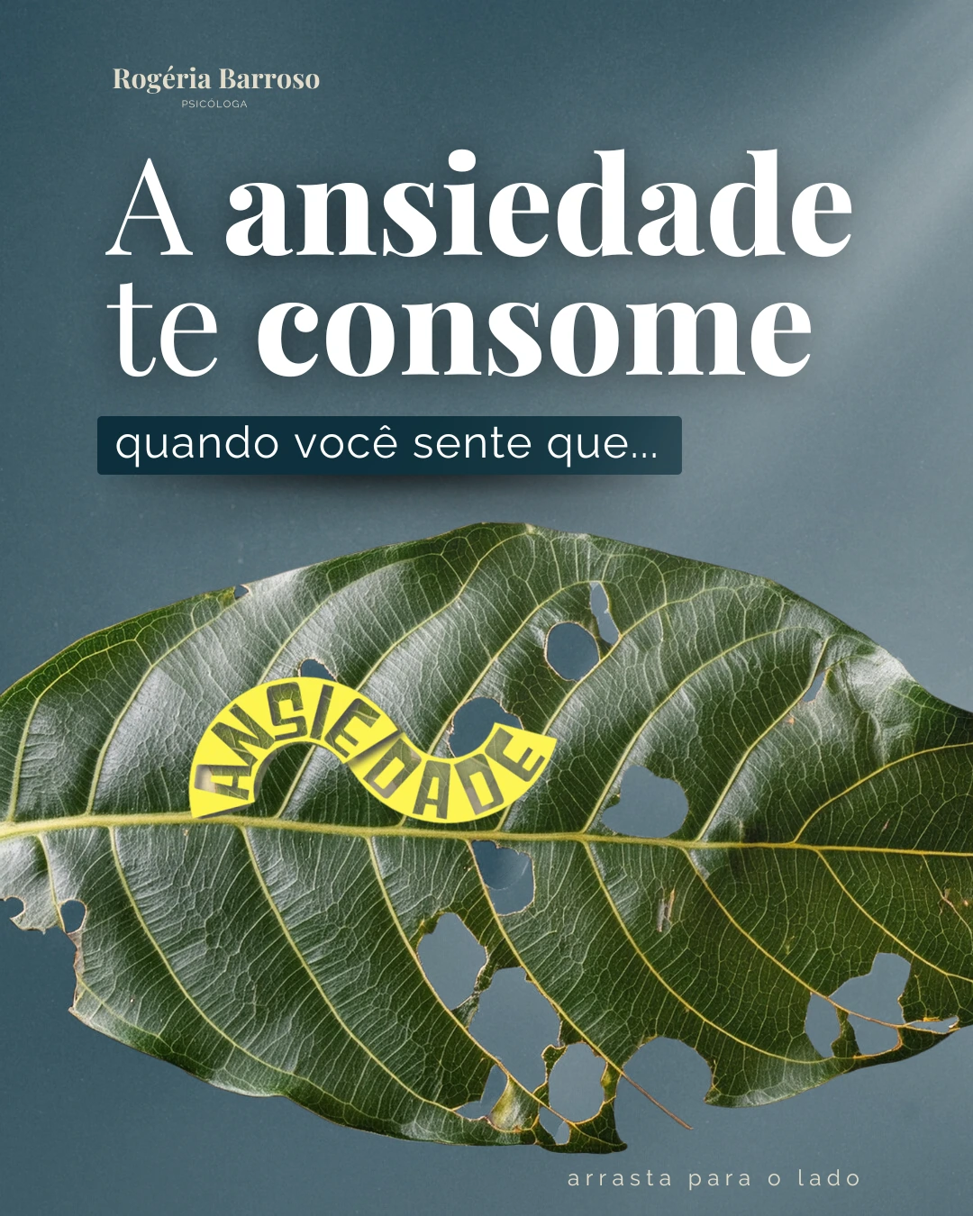 Capa do projeto Rogéria Barroso